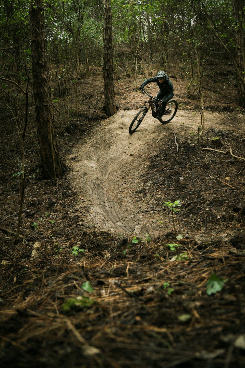 Mountain biker navigates a winding dirt trail through the forest.
